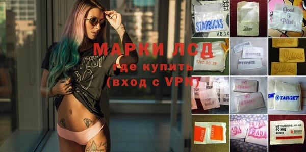 a pvp Дмитров