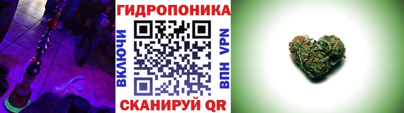 блэк спрут как войти  Петровск-Забайкальский  Бошки марихуана VHQ  наркота 